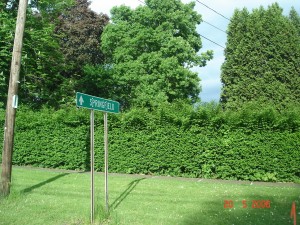 Welcome to Springfield